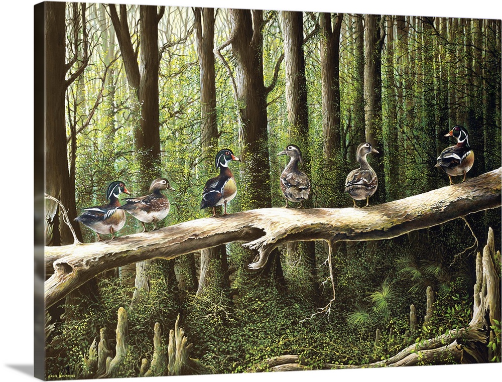 Contemporary painting of a family of Wood Ducks standing on a log in a shady forest.