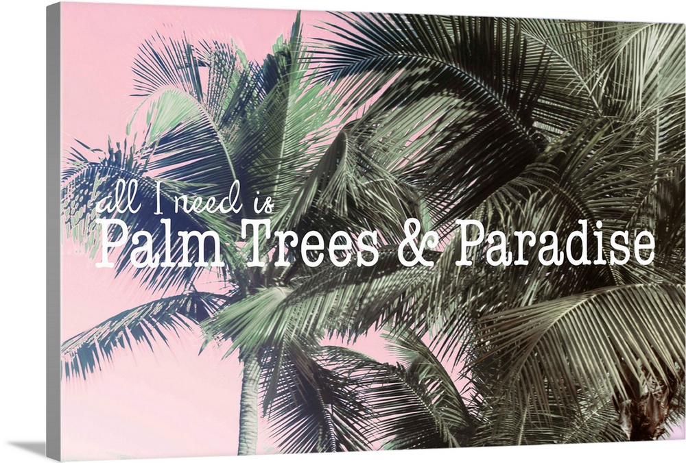 Palm Trees and Paradise