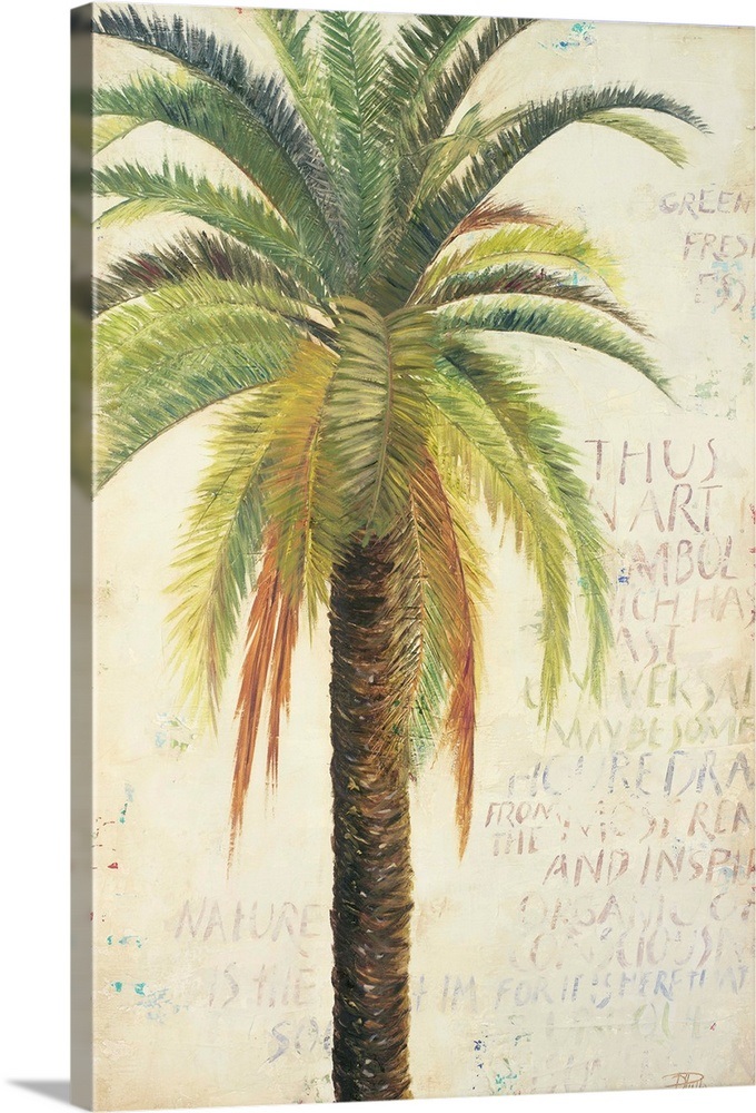 Palms Wall Art, Canvas Prints, Framed Prints, Wall Peels Great Big Canvas