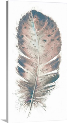 Pastel Feather I