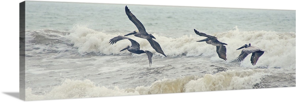 A photograph of four pelicans flying over ocean waves.