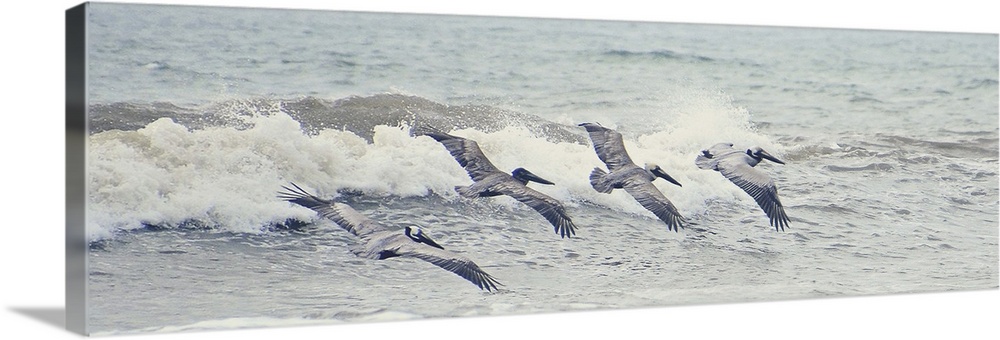 A photograph of four pelicans flying in a line over ocean waves.