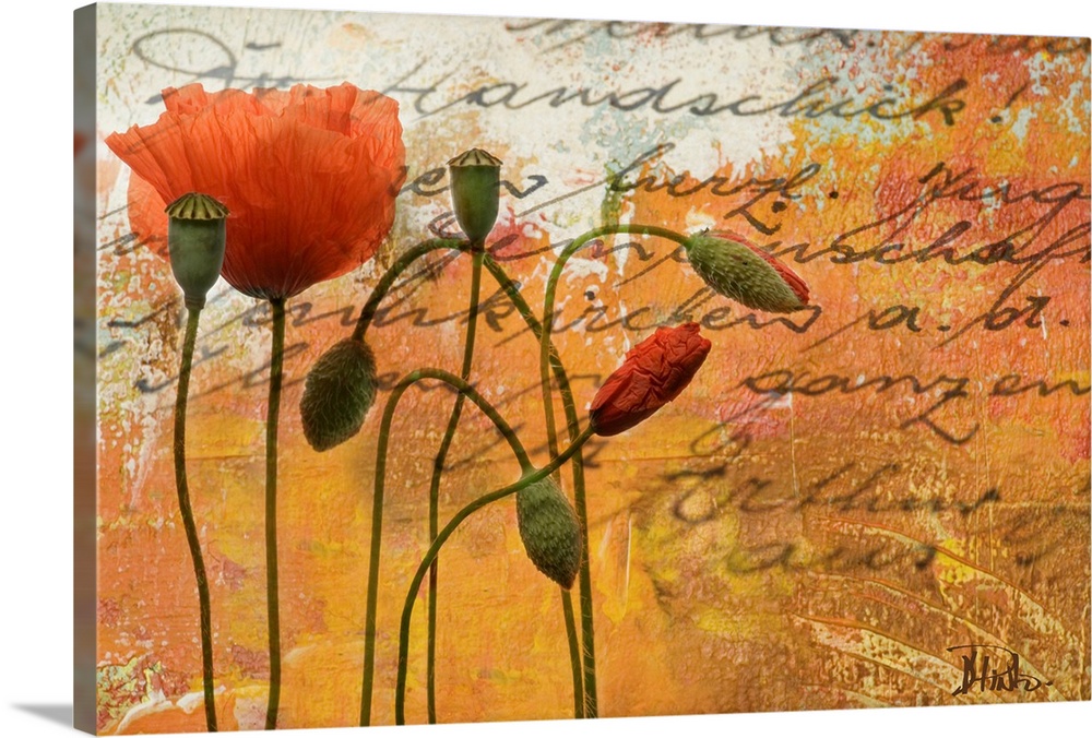 Digital mixed media artwork with text overlaying painting of flowers.