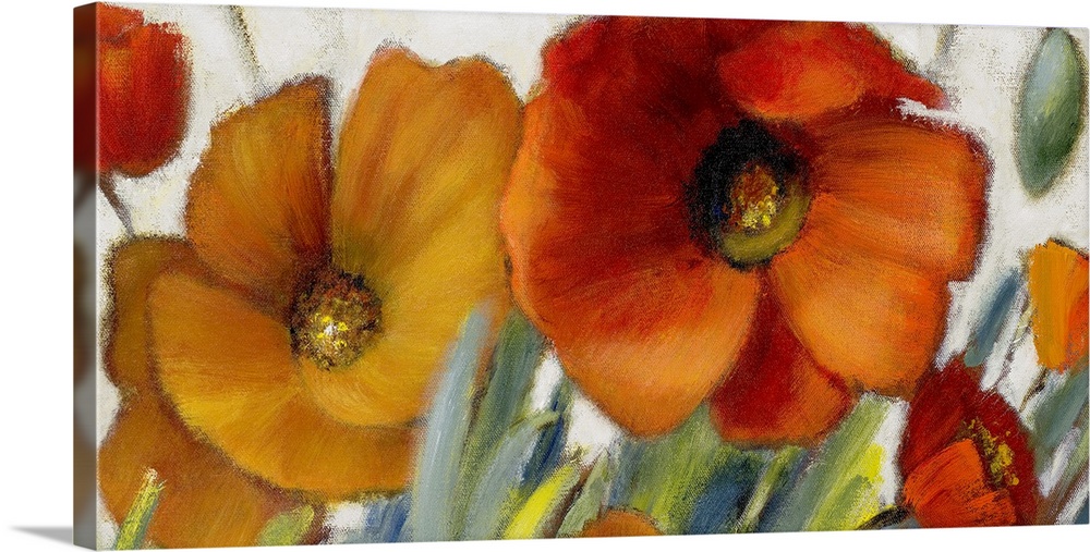 Oversized, horizontal floral painting of two large poppies in warm tones, with several smaller poppies and grasses surroun...