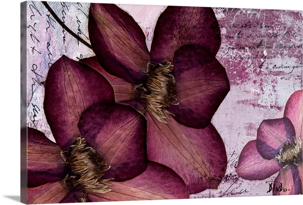 Flower petals collaged over paint textures and hand written text.