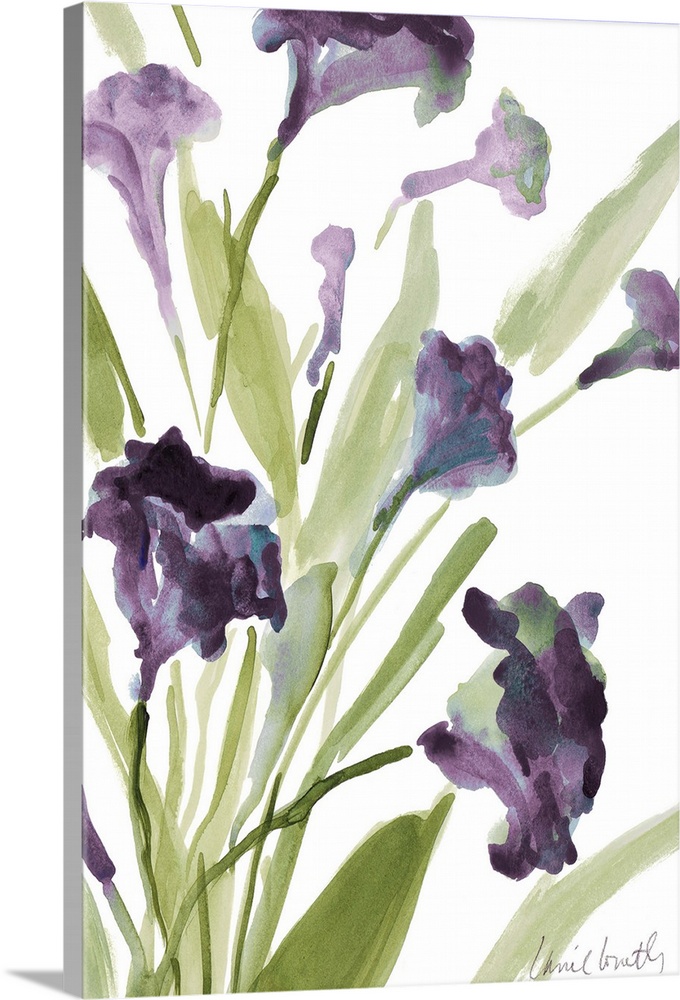 Watercolor painting of purple flowers on green stems against a white background.