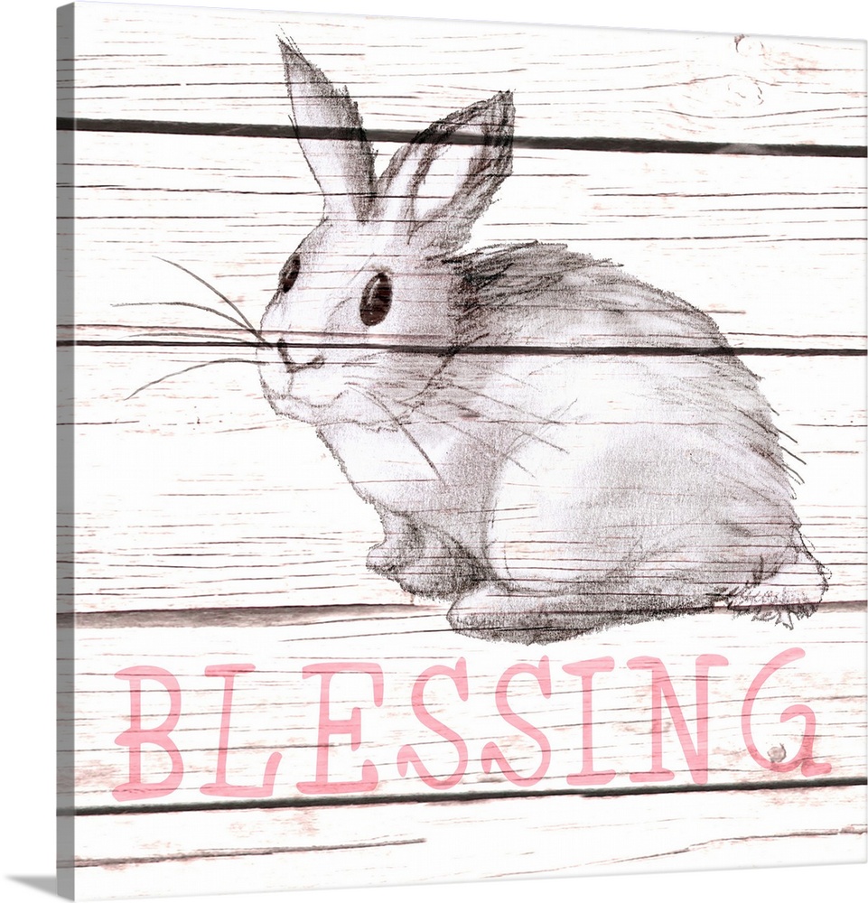 Rabbit Blessing