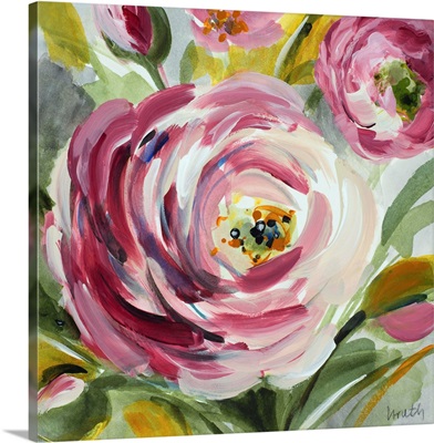 Ranunculus Rosa I