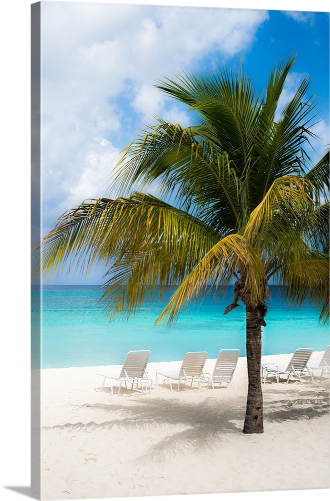 A beautiful photograph of the calm, clear, blue beach with white sands and a palm tree.