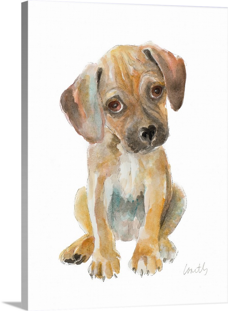 Watercolor painting of a puppy on a solid white background.