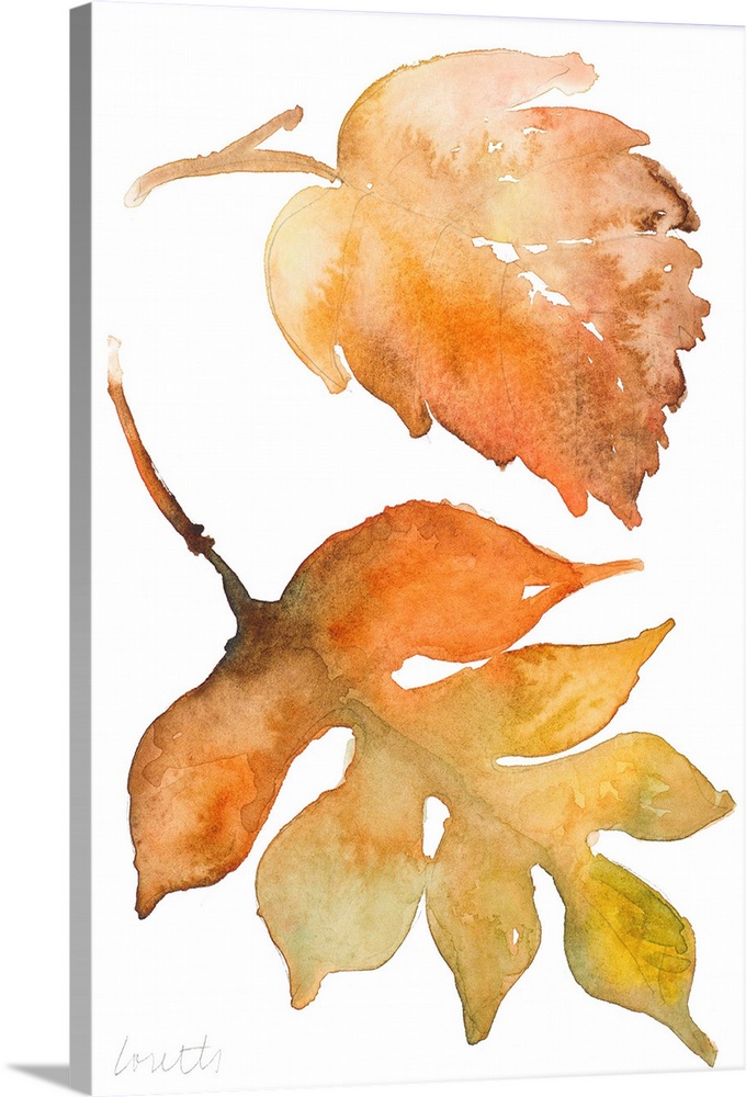 Watercolor painting of two fallen leaves in autumn colors.