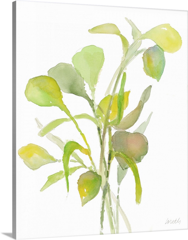 Watercolor painting of underwater plants in soft green hues.