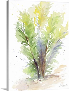 Seagrasses and Eelgrasses V image thumbnail