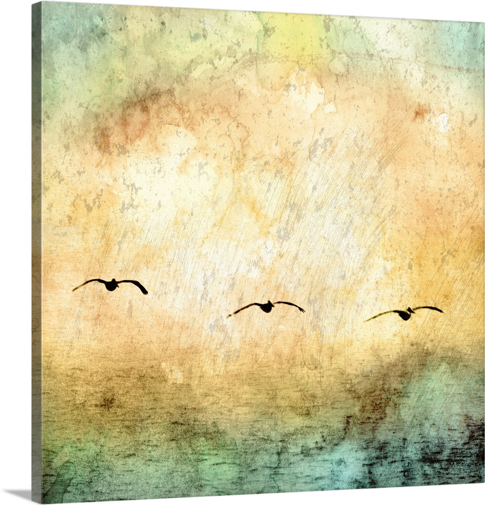 Digital artwork of rainbow watercolor texture overlaid a photo of water with seagulls flying above.