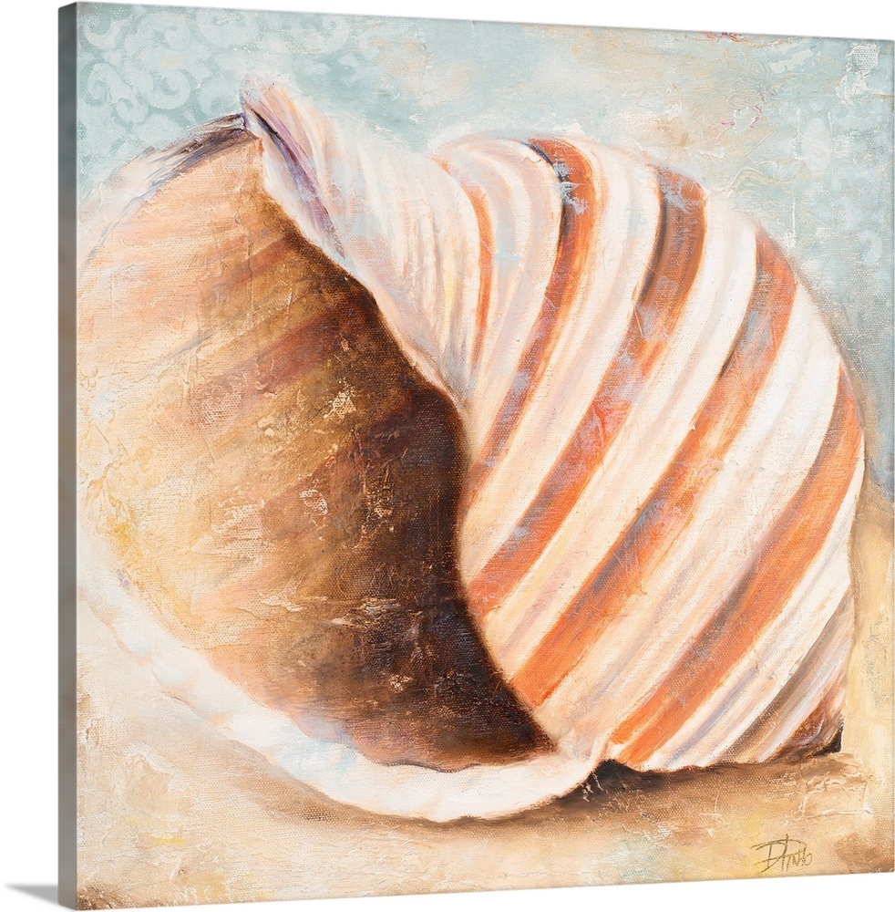Seashell Collection I Wall Art, Canvas Prints, Framed Prints, Wall
