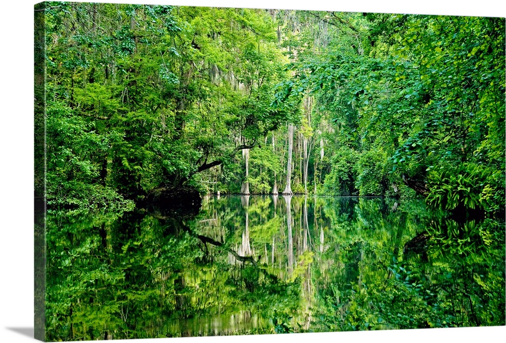 A landscape photograph with lush green trees and reflections on the water.