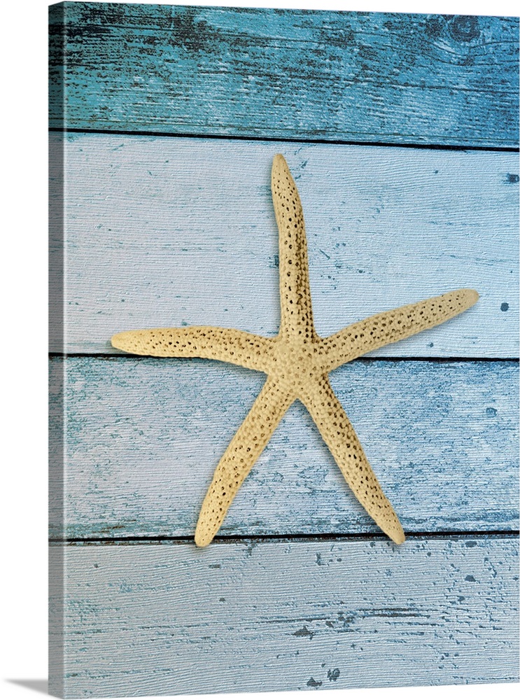 A photograph of a starfish on a fading blue wooden paneled background."O Come, Let Us Adore Him" in gold and black.