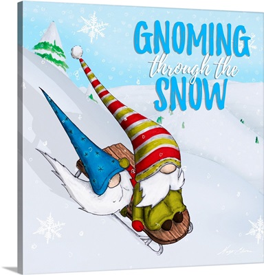 Ski Gnomes II