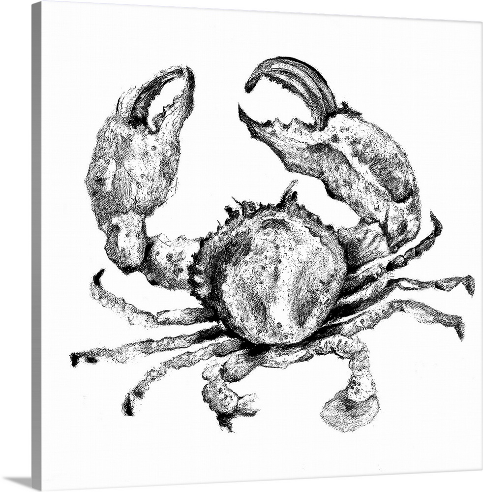 Artwork of a crab with its pincers alert with a sketchy look to the image.
