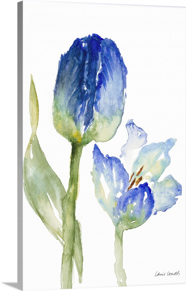 Contemporary artwork featuring blue watercolor tulips against a white background.