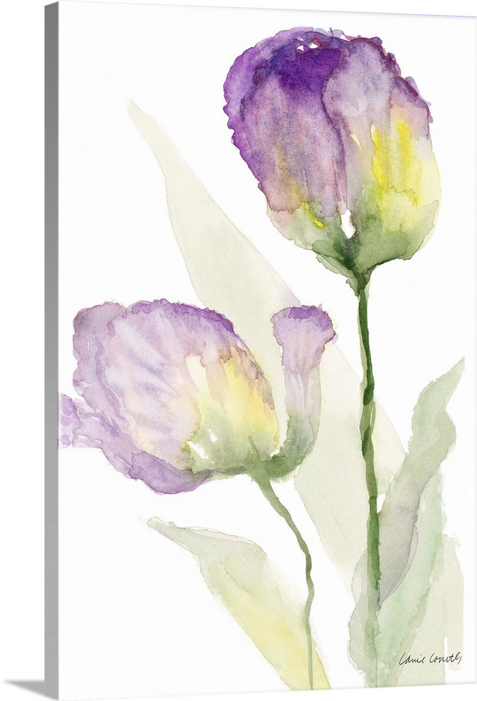 Contemporary artwork featuring purple watercolor tulips against a white background.
