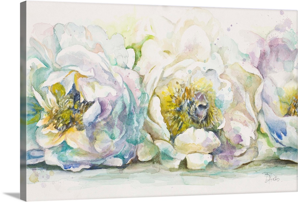 Colorful watercolor painting of three peonies with a white background.