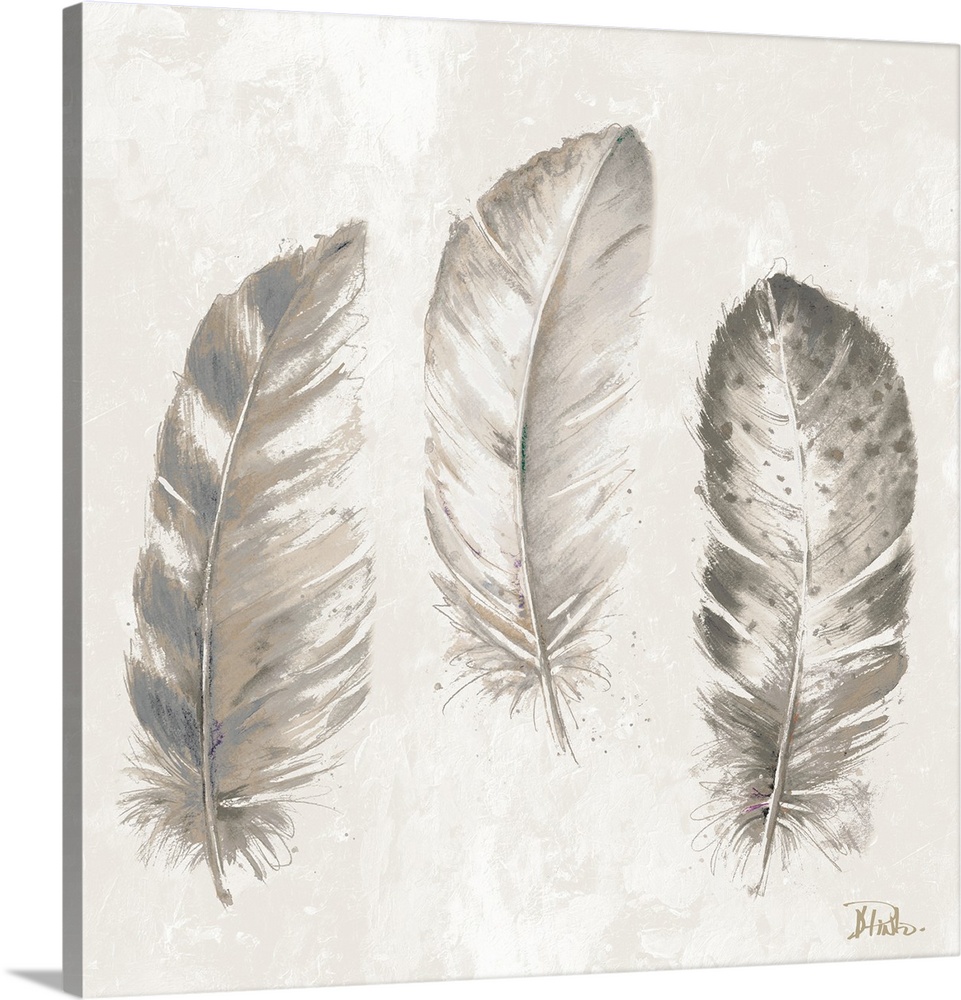 Three feathers in shades of gray and tan.