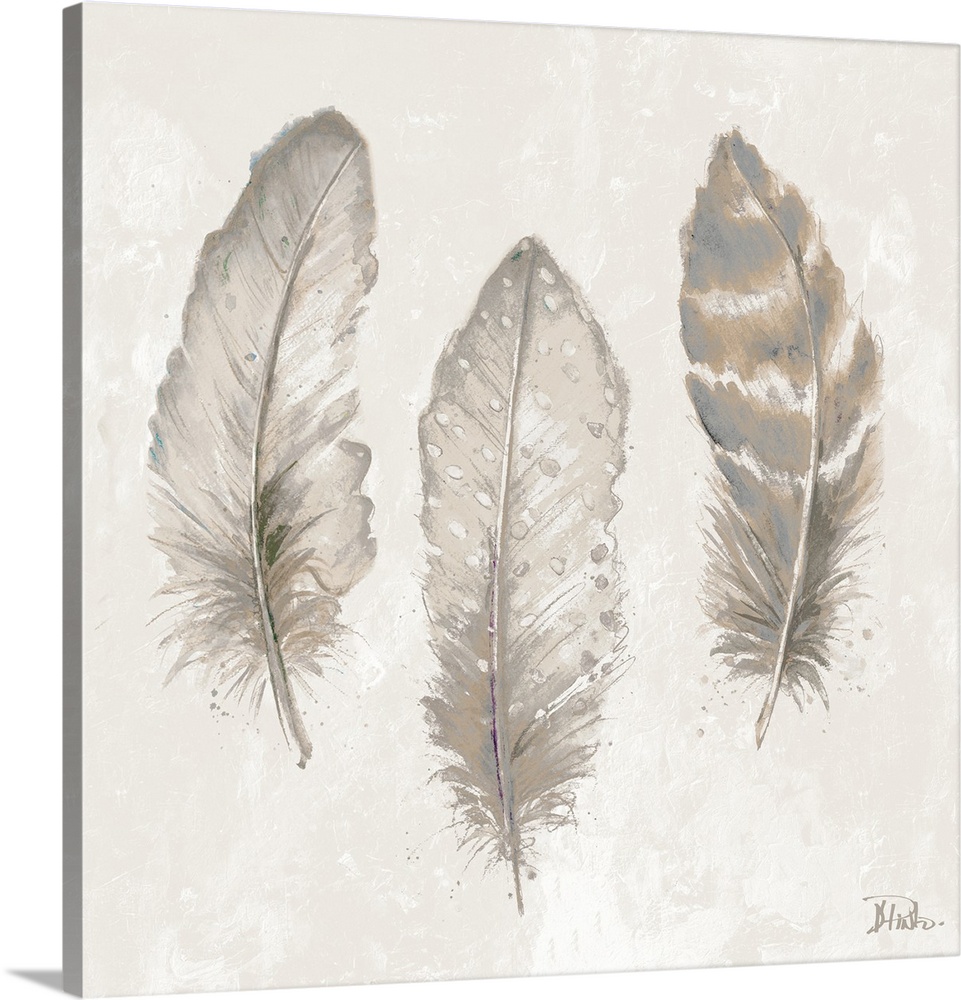 Thee feathers in shades of gray and tan.