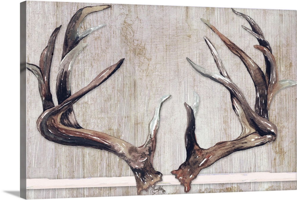 Painting of two sets of deer antlers with a wooden background.