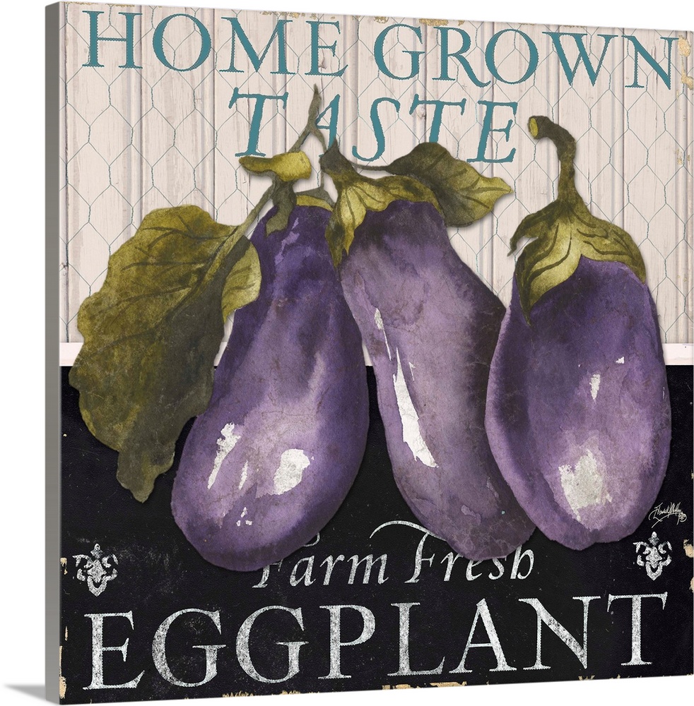 "Home Grown Farm Fresh Eggplant"