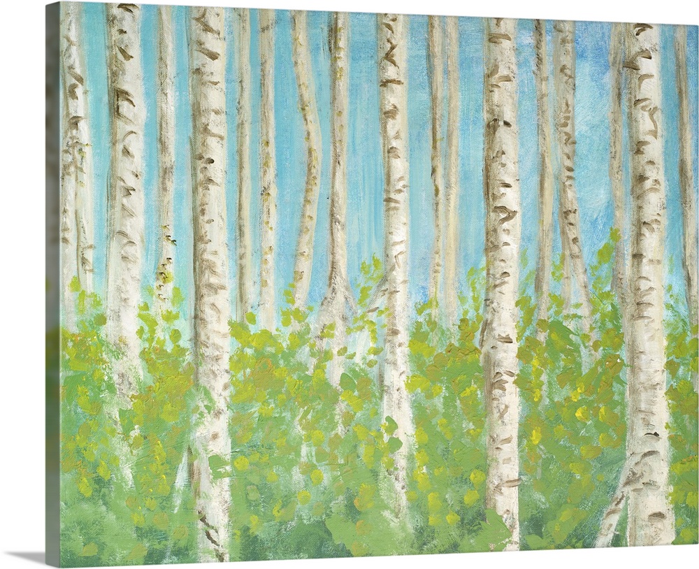 Decorative artwork of a forest of birch trees.