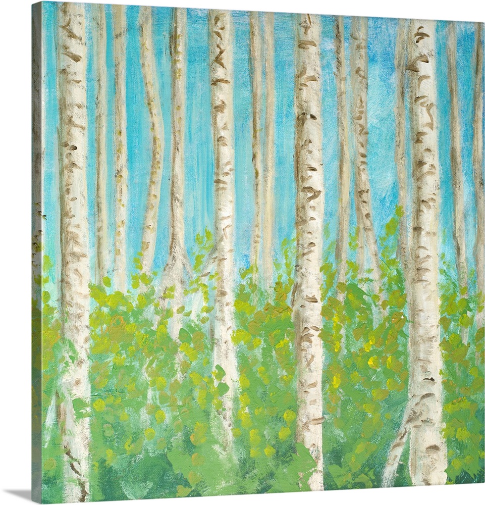 Decorative artwork of a forest of birch trees.