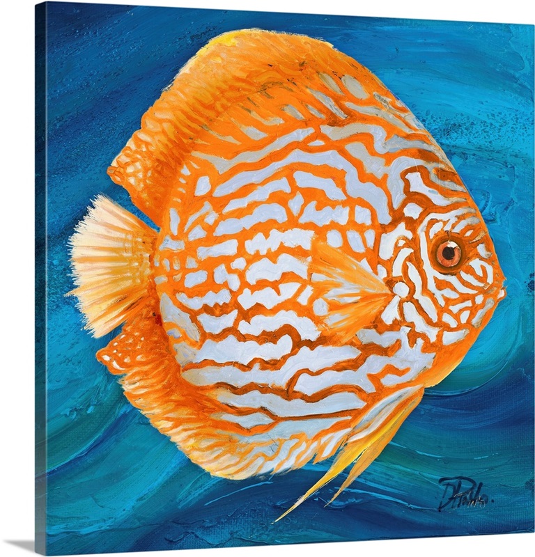 Vibrant Sea Life II | Great Big Canvas