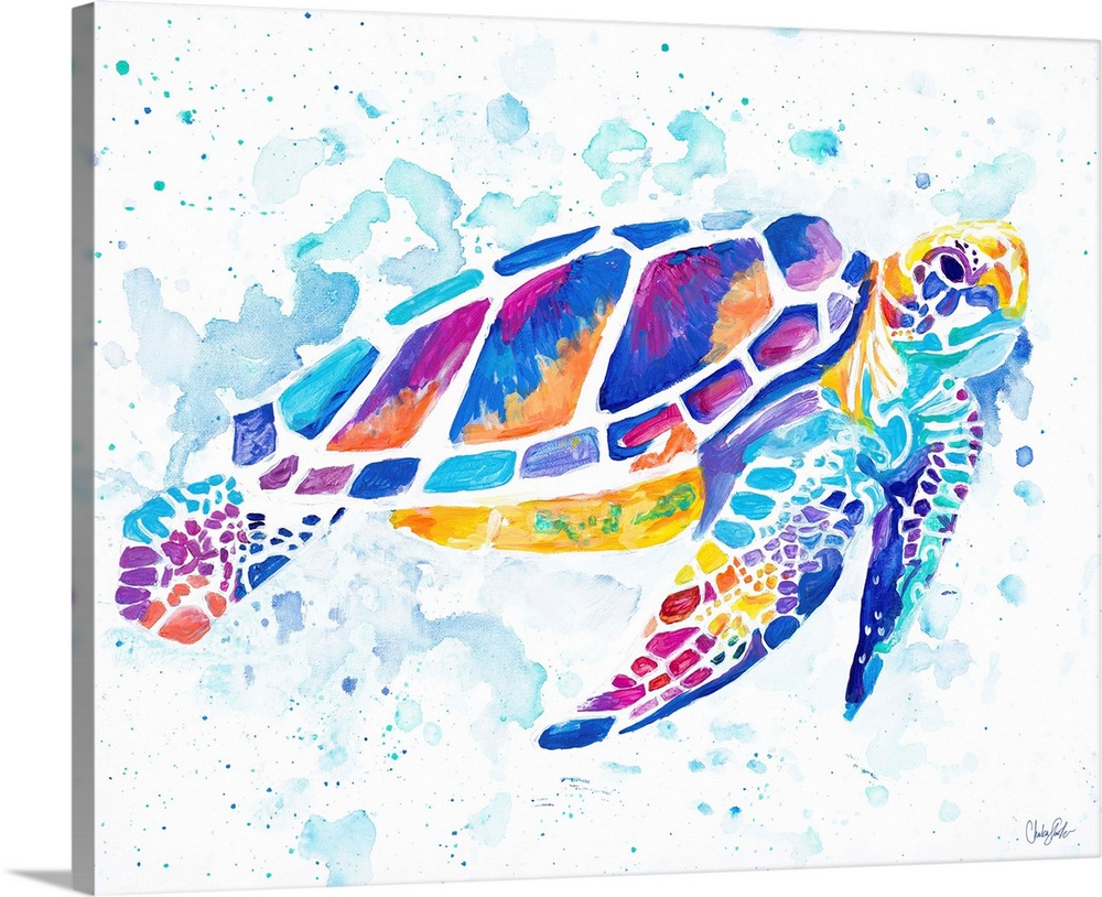 Vibrant Sea Turtle