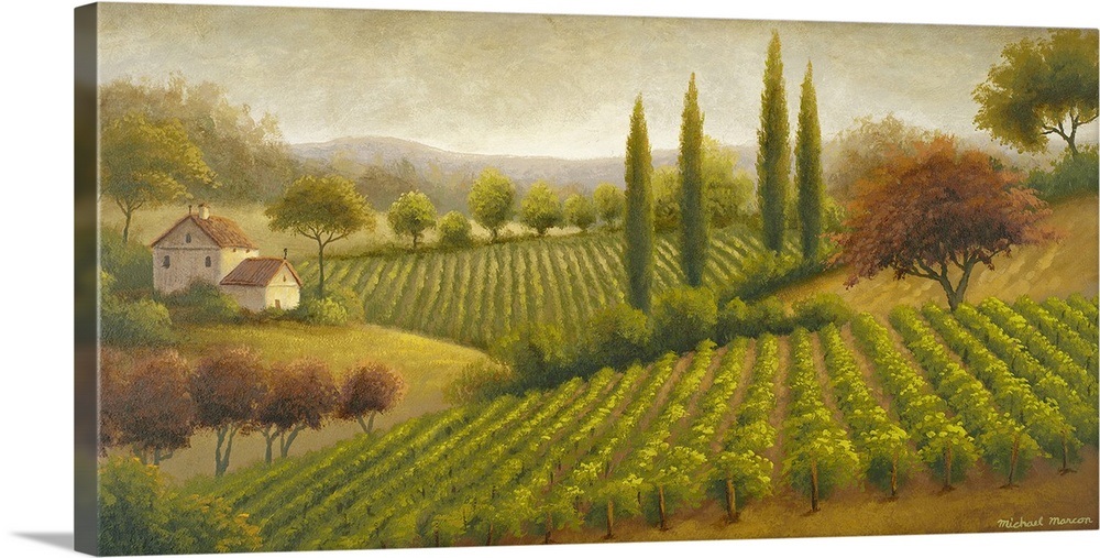 Vineyard In The Sun I Wall Art, Canvas Prints, Framed Prints, Wall