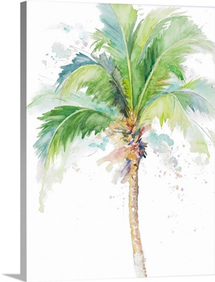 Watercolor Coconut Palm