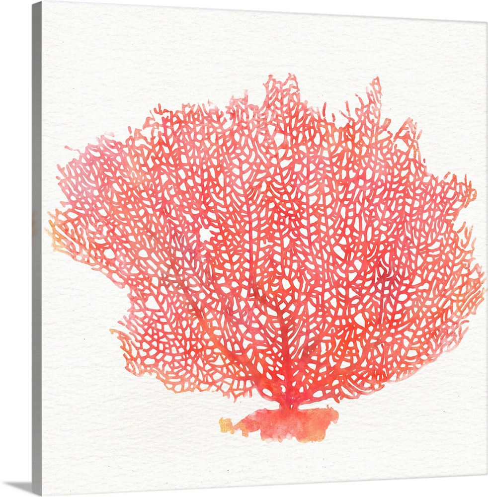 Contemporary watercolor painting of red fan coral against a white background.