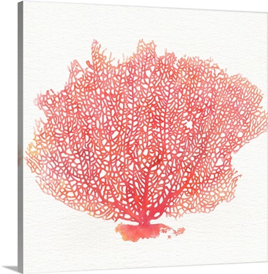 Watercolor Coral II