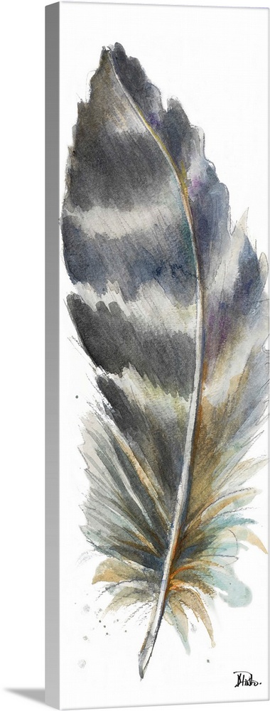 Contemporary watercolor painting of a feather against a white background.