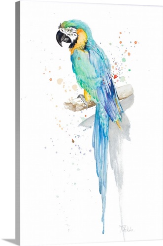 Watercolor Parrot Stretched Canvas Print