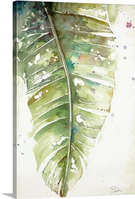 Watercolor Plantain Leaves I