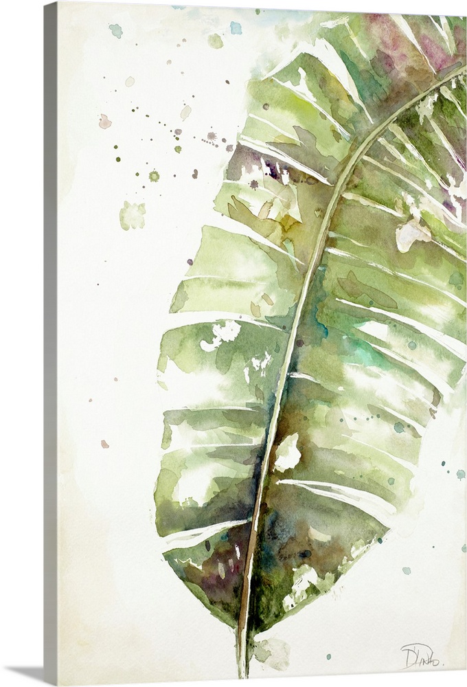 A watercolor painting of a green toned plantain leaf.