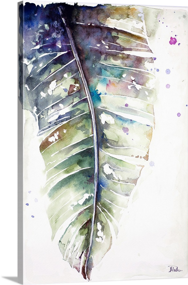 A watercolor painting of a purple toned plantain leaf.