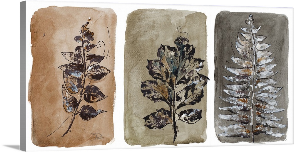 A contemporary watercolor painting split into three separate sections with a different leaf on each one.