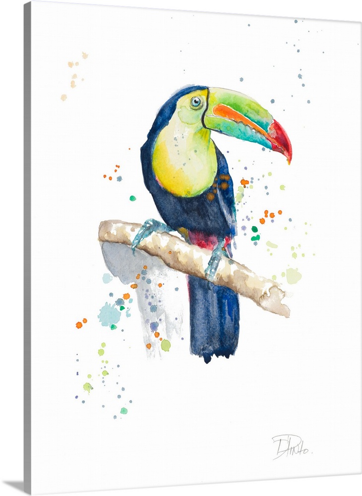 Contemporary artwork featuring a tropical watercolor toucan with paint splatters over a white background.