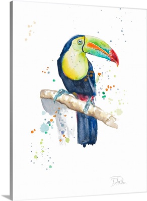 Watercolor Toucan