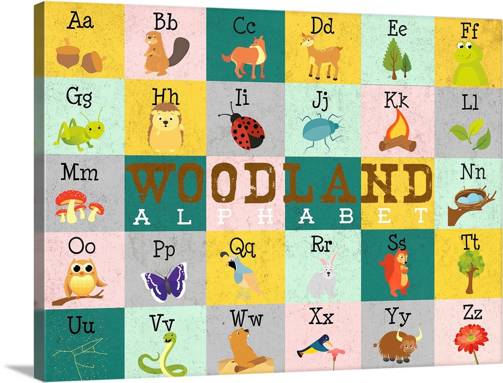 The alphabet illustrated with creatures and objects found in the woods.