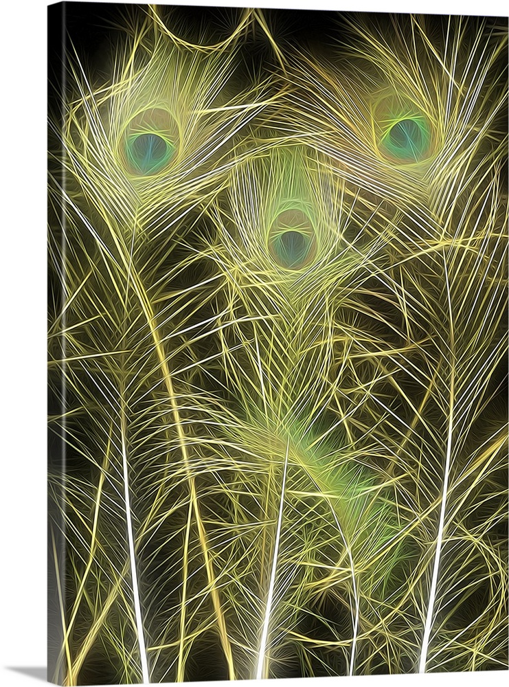 Large digital illustration of neon peacock feathers on a dark background.