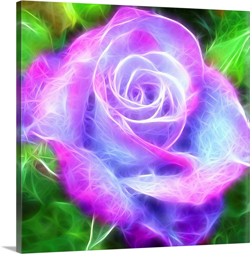 Digital illustration of a pink, purple, and blue rose with a green background and electric looking lines.