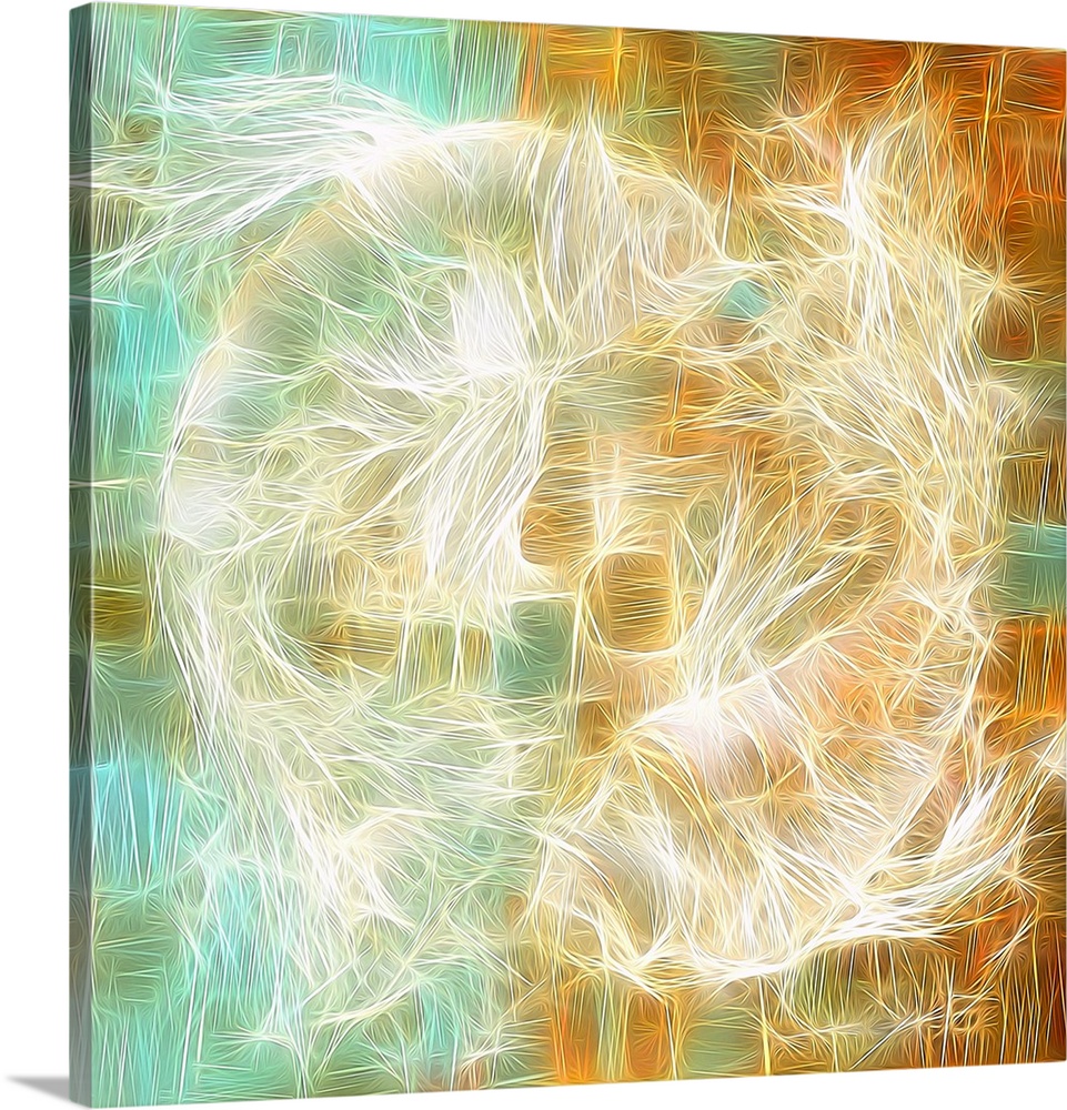 Square abstract art with thin lines intertwining together to create two yin yang fish in the center and squares in the bac...